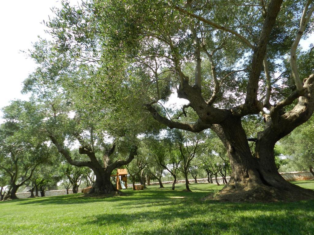 I Trulli Del Nonno Michele Konuk evi Alberobello Dış mekan fotoğraf