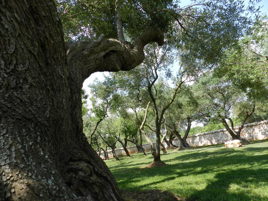 I Trulli Del Nonno Michele Konuk evi Alberobello Dış mekan fotoğraf